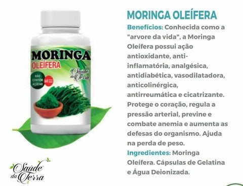 Moringa Saúde da Terra - 60 CAPS